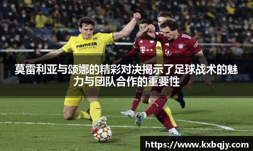 zoty中欧官网